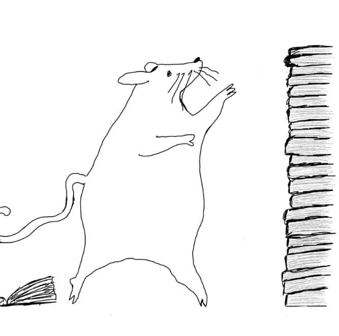 The Reading Rat - Podcast für Bücher